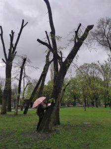 Фото від 21 квітня 2023 року