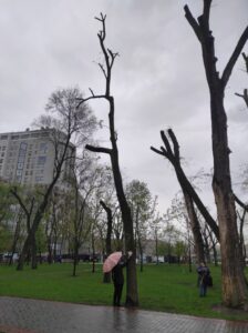 Фото від 21 квітня 2023 року