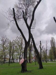 Фото від 21 квітня 2023 року