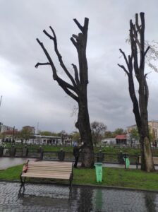 Фото від 21 квітня 2023 року