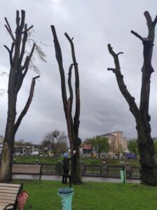 Фото від 21 квітня 2023 року