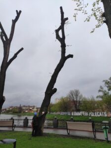 Фото від 21 квітня 2023 року