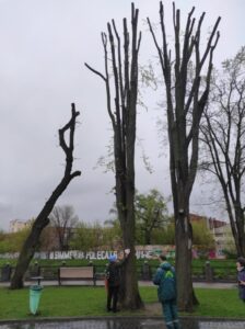 Фото від 21 квітня 2023 року