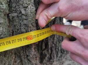 Фото від 23 квітня 2023 року