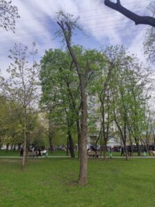 Фото від 23 квітня 2023 року
