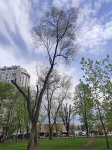 Фото від 23 квітня 2023 року