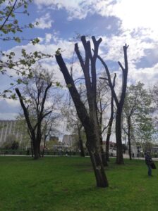 Фото від 23 квітня 2023 року