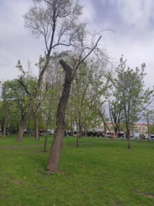 Фото від 23 квітня 2023 року