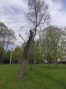 Фото від 23 квітня 2023 року