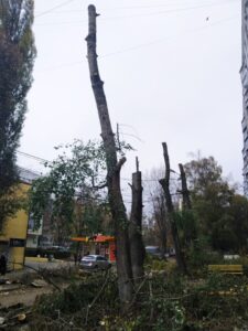 Фото від 28 жовтня 2019