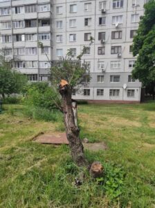 Фото від 24 травня 2023 року