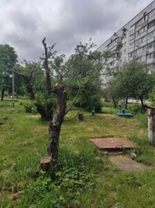 Фото від 24 травня 2023 року
