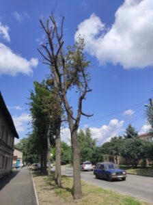 Фото від 21 липня 2023 року