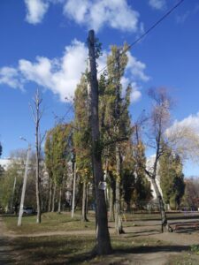 Світлина від 29 жовтня 2019 року