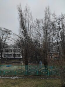 Фото від 21 грудня 2023 року