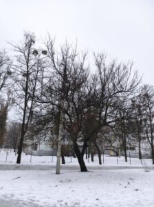 Фото від 18 грудня 2023 року