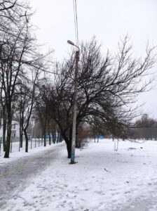 Фото від 18 грудня 2023 року